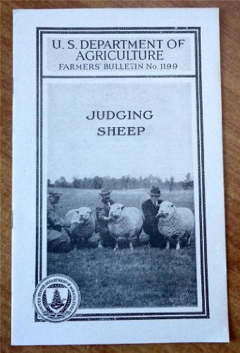 Judging Sheep