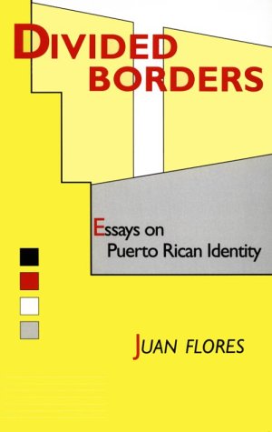 Divided Borders: Essays on Puerto Rican Identity