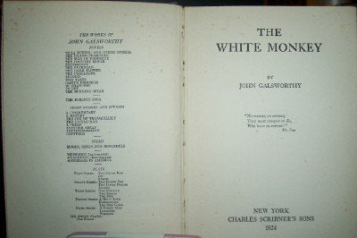 The White Monkey (1924)