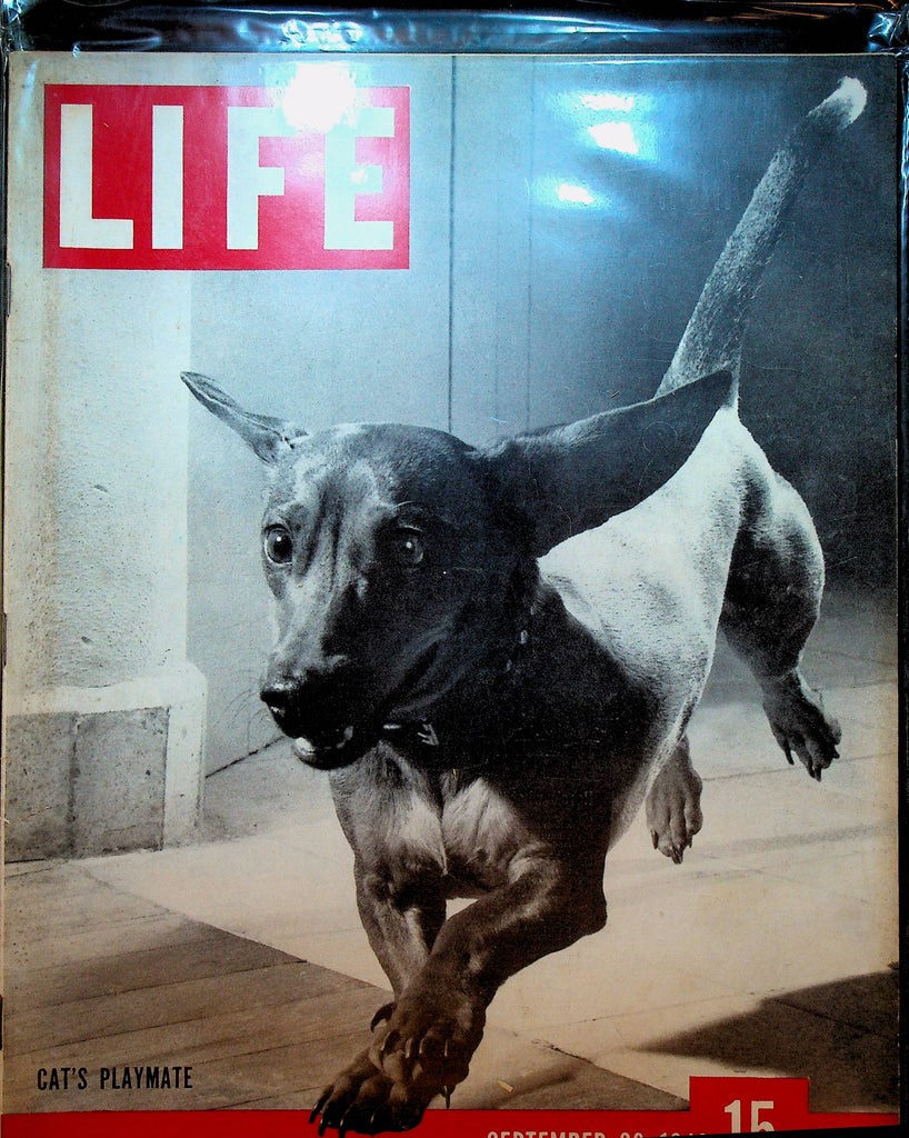 Life Magazine September 23 1946 Dachshund