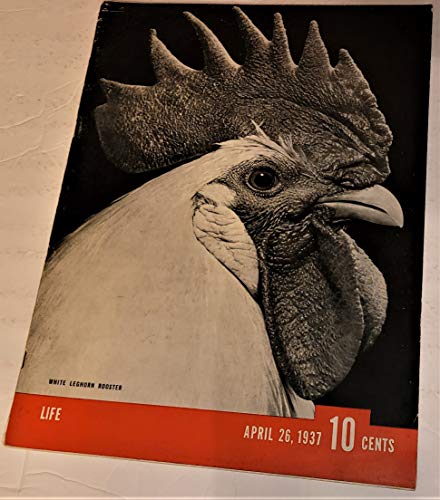 Life Magazine - April 26, 1937 - Cover: White Leghorn Rooster