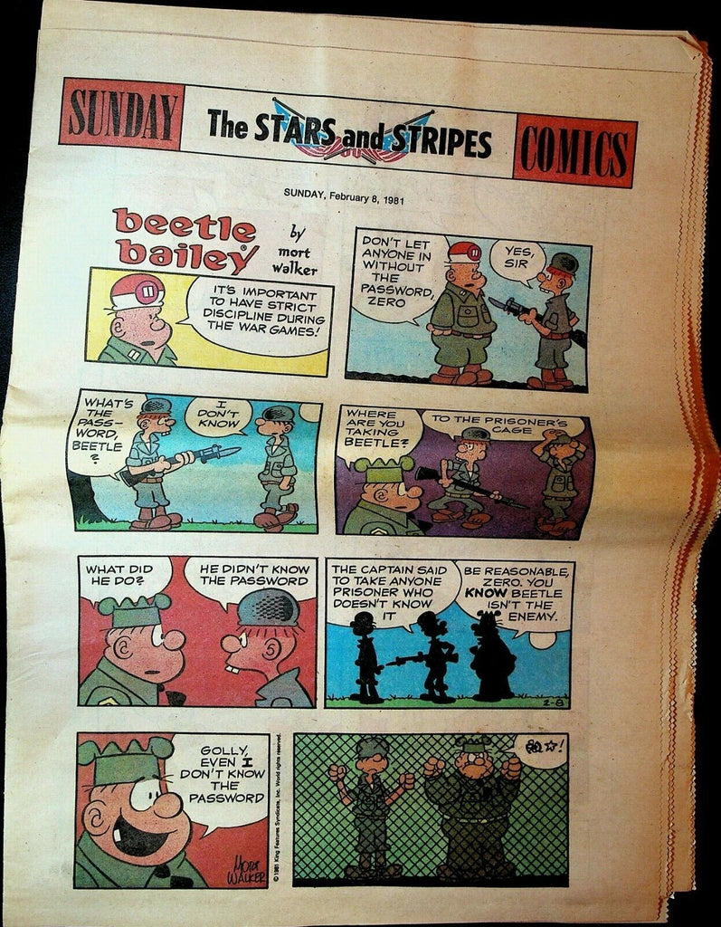 Stars & Stripes Sunday Comics Section February 8 1981 Beetle Bailey