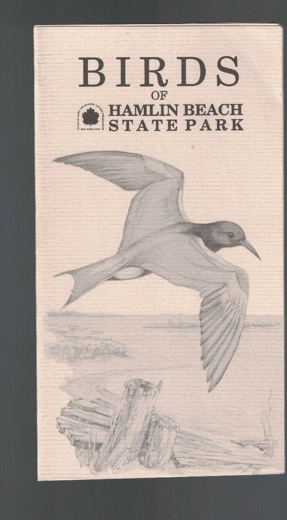 Birds of Hamlin Beach State Park NY Brochure