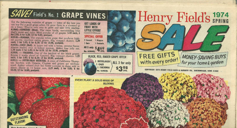 Henry Field's Sale Flowers Catalog Spring 1974 Plants