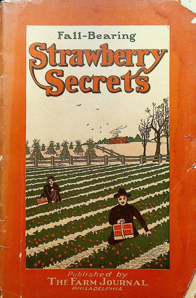 Fall Bearing Strawberry Secrets Lawrence J Farmer Booklet 1912