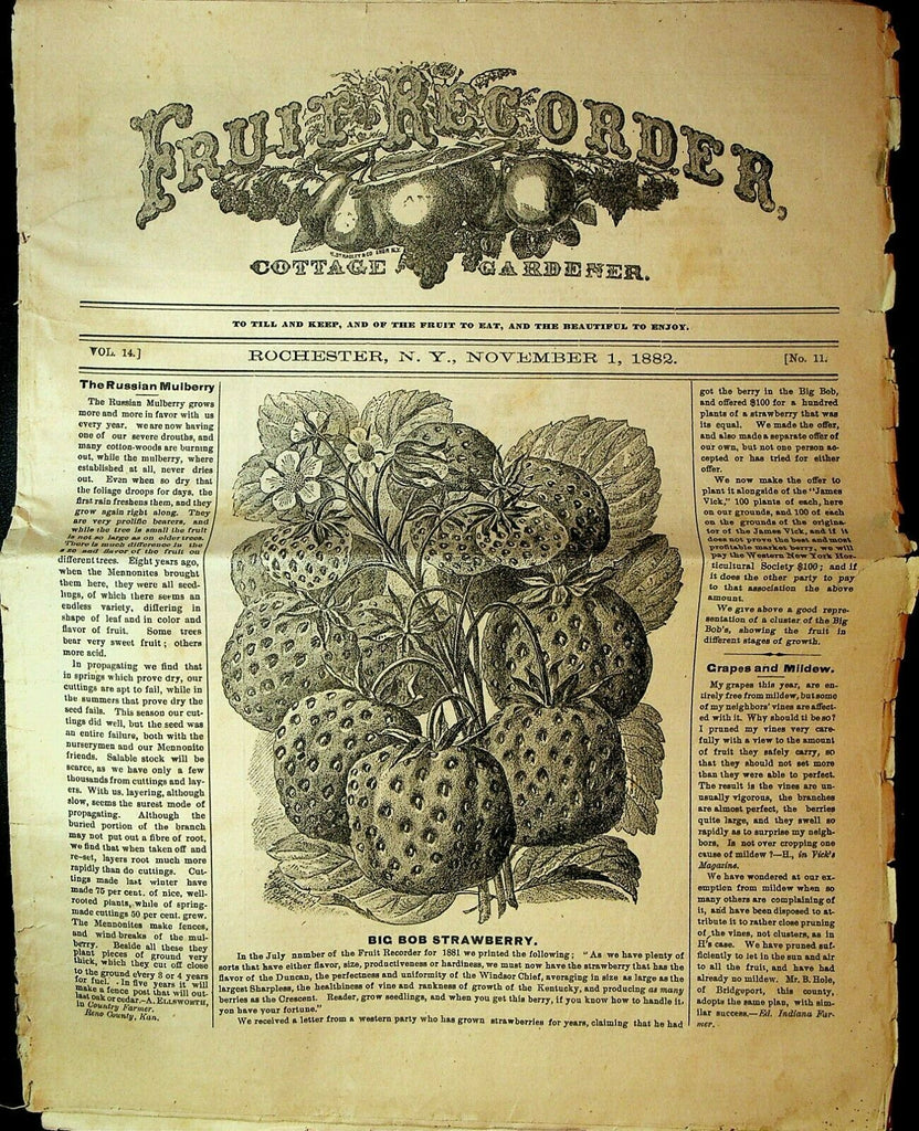 Purdy's Fruit Reporter & Cottage Gardener Agricultural Paper Lot of 5 1880s