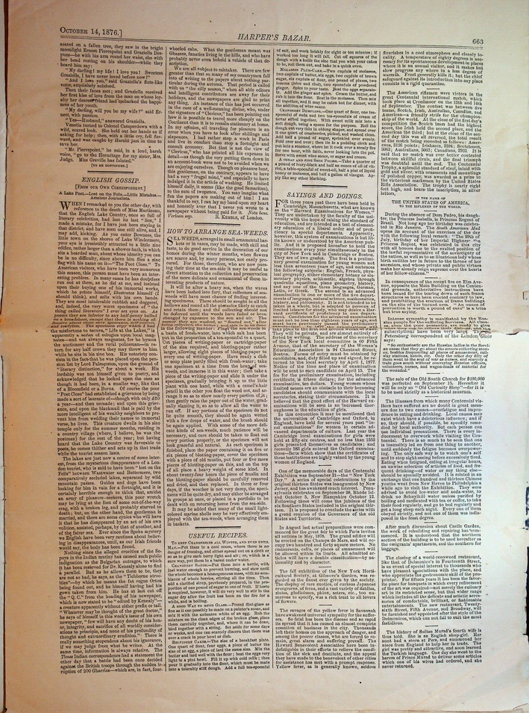 Harper's Bazar Bazaar October 14 1876 Fashion Delmonico's Closing