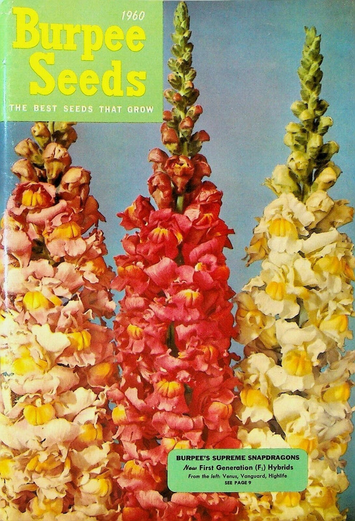 Burpee Seeds Catalog 1960 Supreme Snapdragons Flowers Vegetables