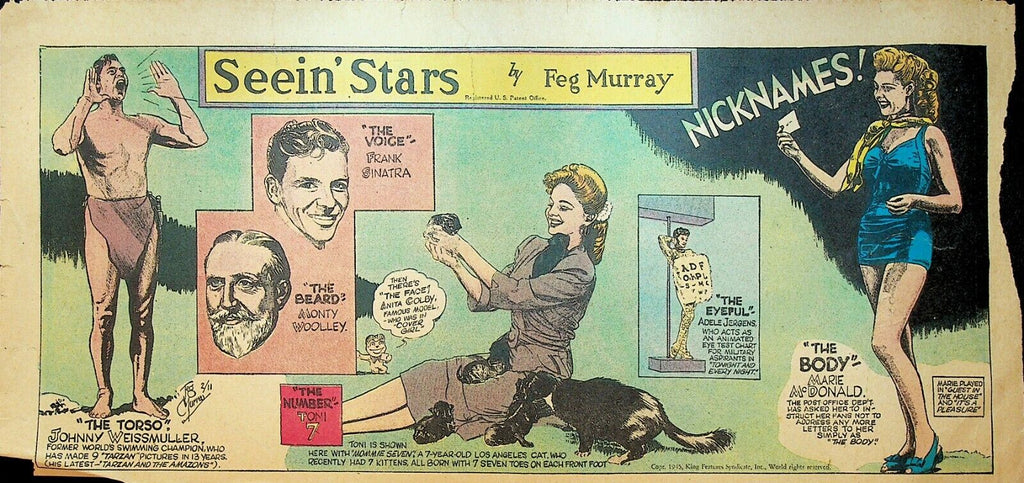 Seein Stars Comic Strip February 11 1945 Frank Sinatra Johnny Weissmuller