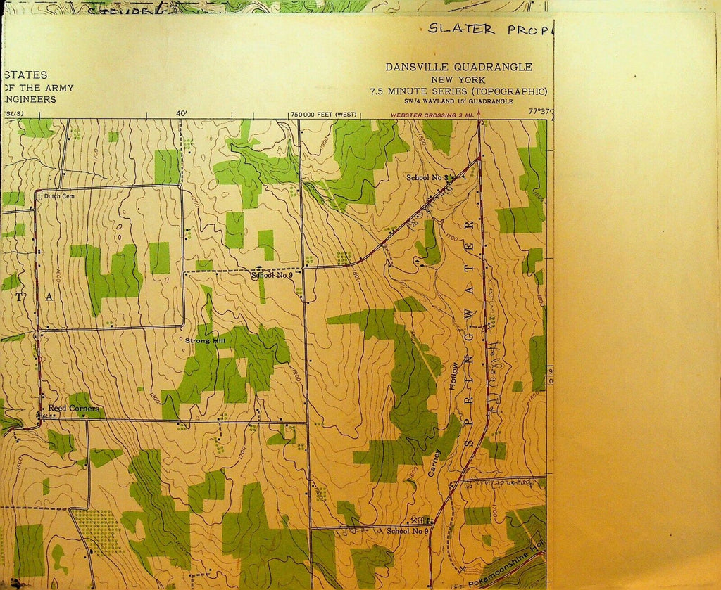 Dansville NY Quadrangle Geological Survey Topographical Map 1942