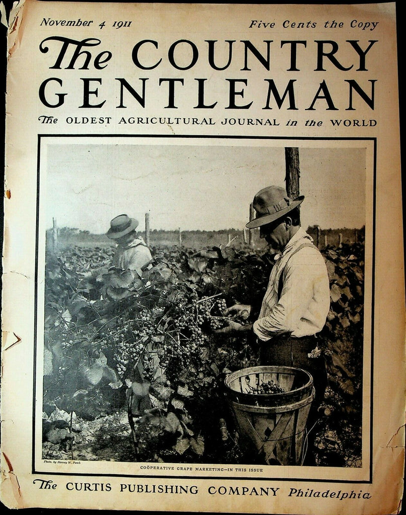 Country Gentleman November 4 1911 Sir Humphrey Horse Hackney Champion Grapes