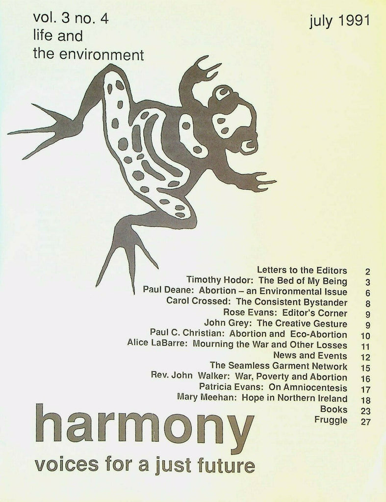 Harmony Magazine Voices for a Just Future July 1991 Northern Ireland