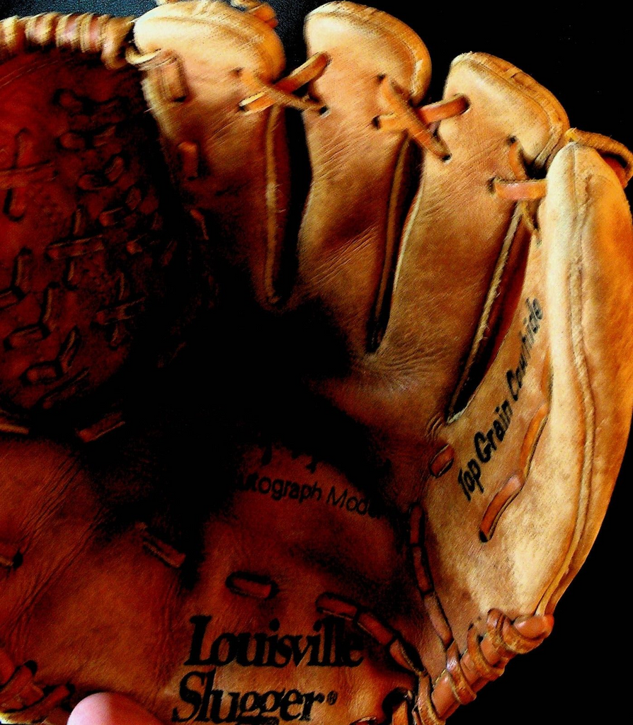 Graig Nettles Signature Model Louisville Slugger Baseball Glove Right-Handed