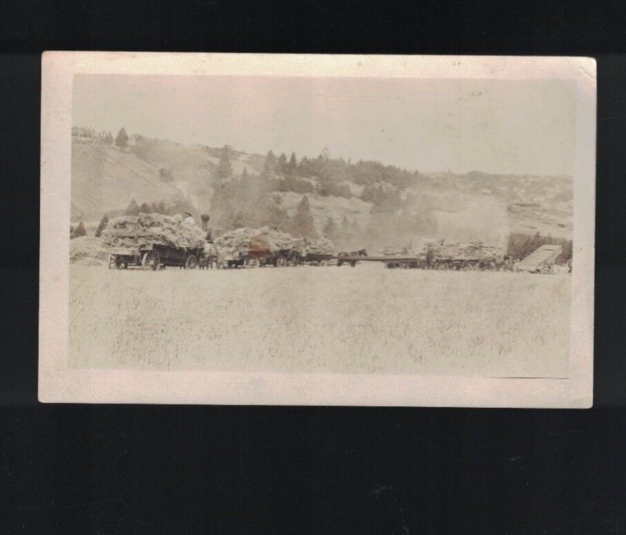 Field Work on a Farm Vintage RPPC Horses & Hay Bales