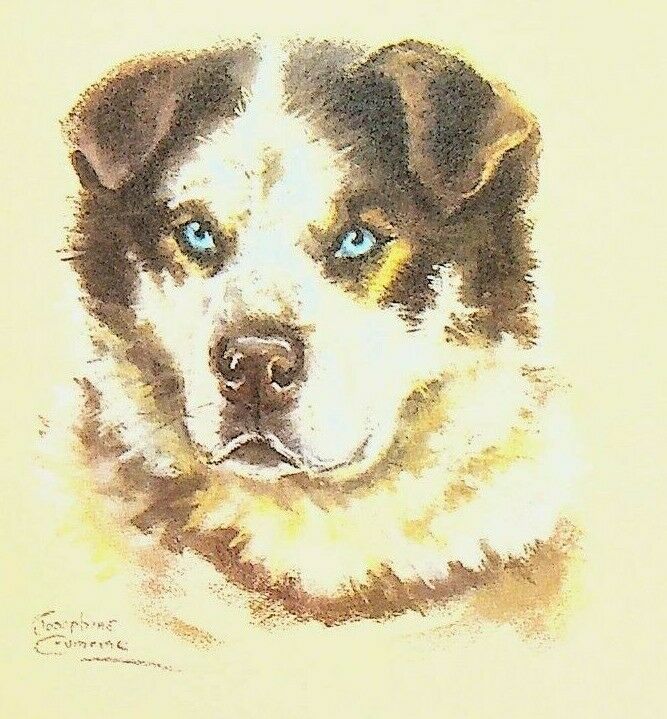 Josephine Crumrine Alaska Cruise Line Menu Alaskan Sled Dog Mageik