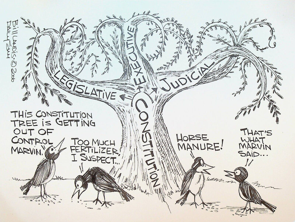 Bill Landis Original Cartoon Art The Villages Daily Sun 2006 Constitution