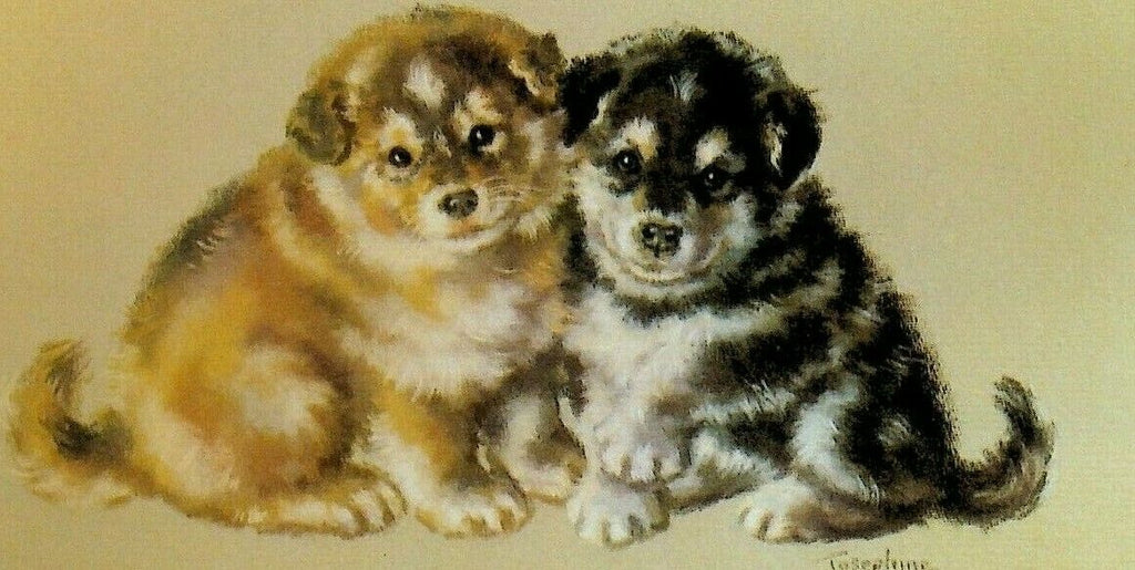 Josephine Crumrine Alaska Cruise Line Menu Alaskan Husky Puppies