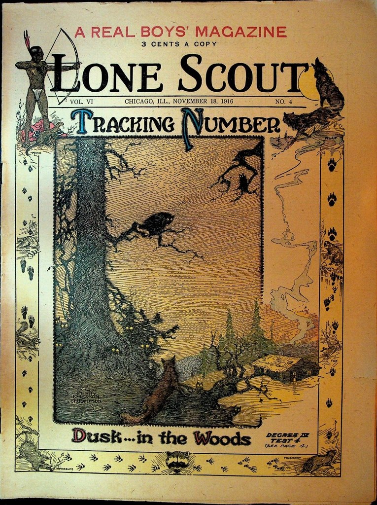 Lone Scout Magazine November 18 1916 Scouting  Purple Finch Bird