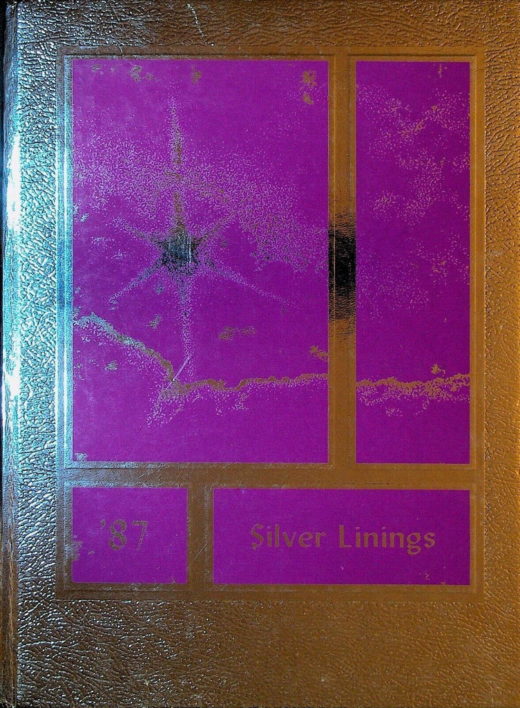 Hannibal NY High School Yearbook Silver Linings 1987