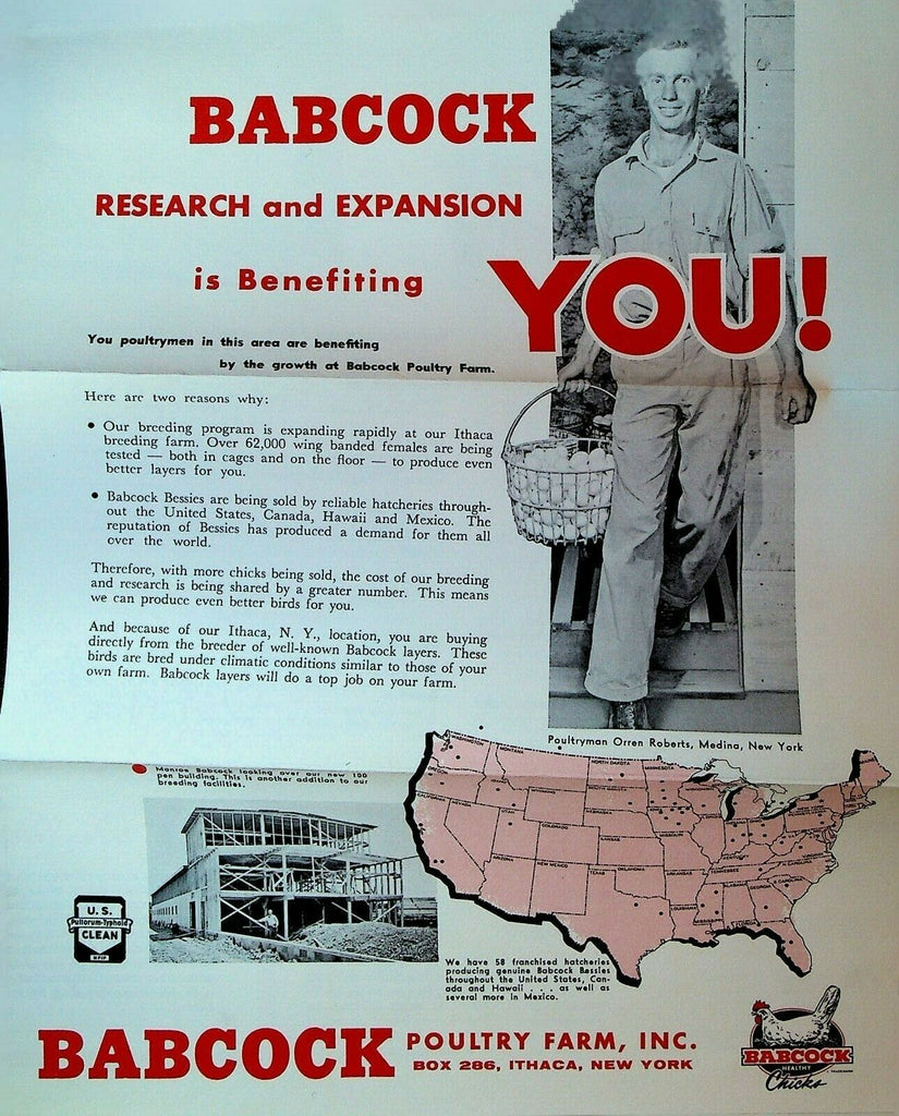 Babcock Poultry Farm Ithaca NY Ad Brochure Hens Babcock Bessies Lotties 1958