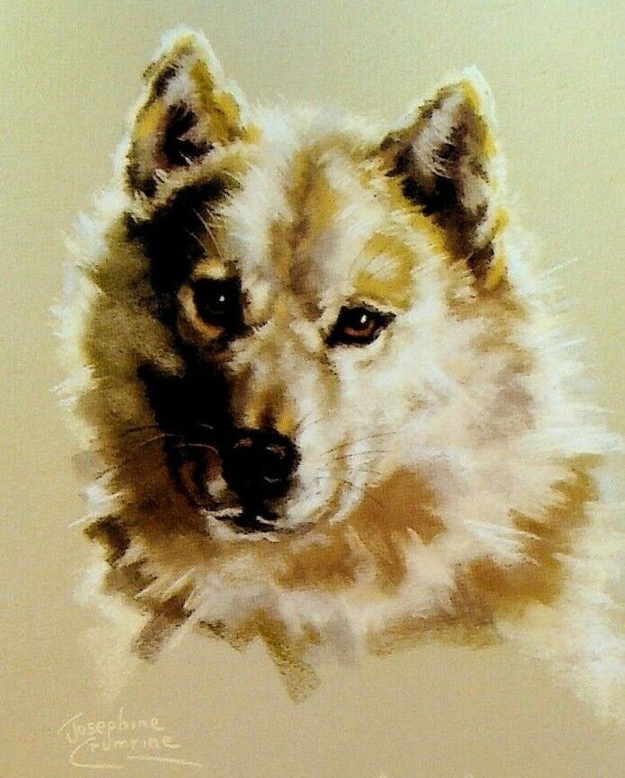 Josephine Crumrine Alaska Cruise Line Menu Alaskan Sled Dog Wolf