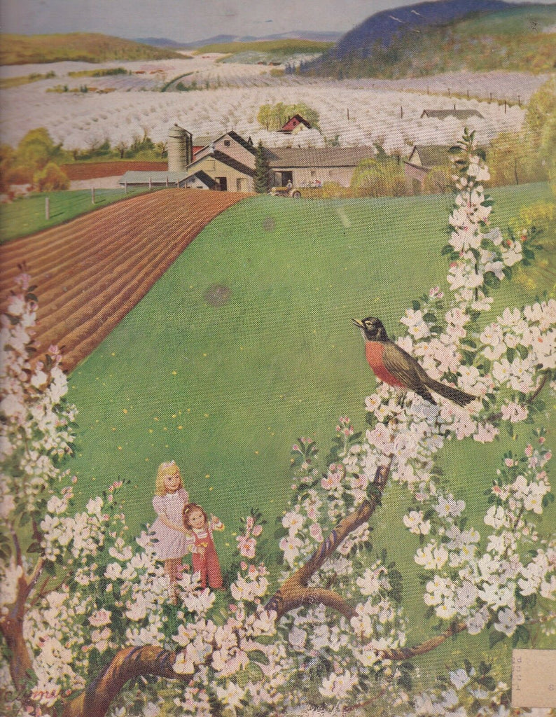 Saturday Evening Post Raymond La Raviere Philip Wylie Luke Short  May 7 1955