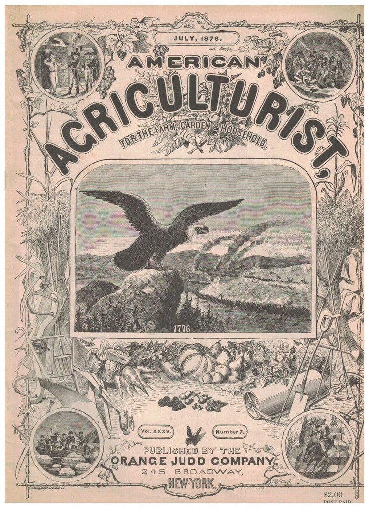 American Agriculturist Magazine July 1876 Facsimile Reproduction  From 1976
