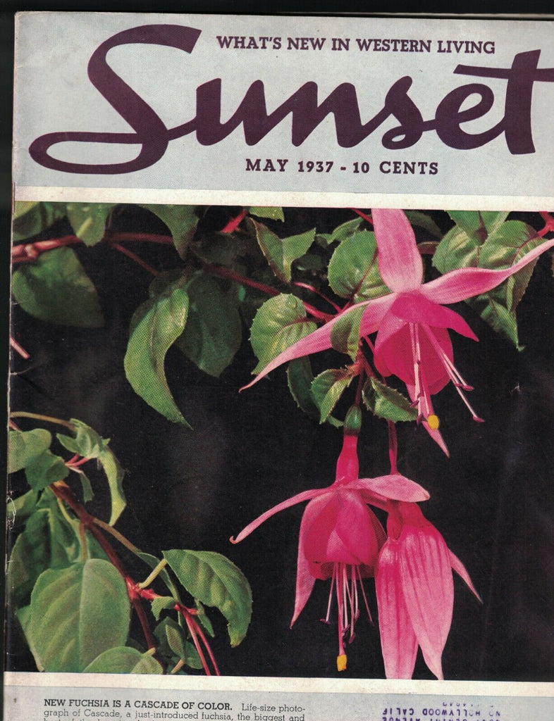 Sunset Magazine May 1937 Cascade Fuchsia Flower Beach Houses Swimming Pools