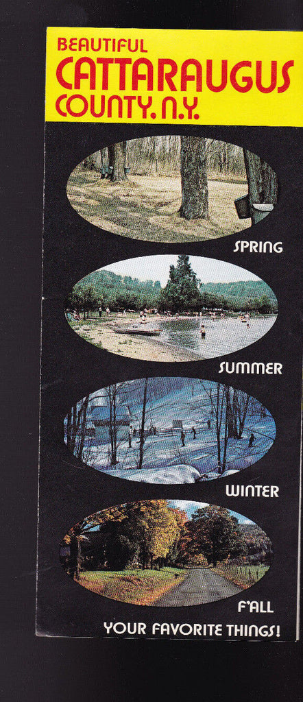 Beautiful Cattaraugus County NY Brochure 1970s