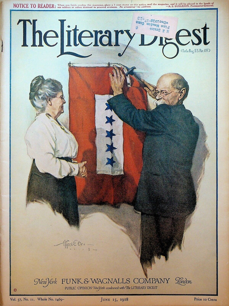 The Literary Digest June 15 1918 WWI Alfred E Orr Sinn Fein Germany Plot