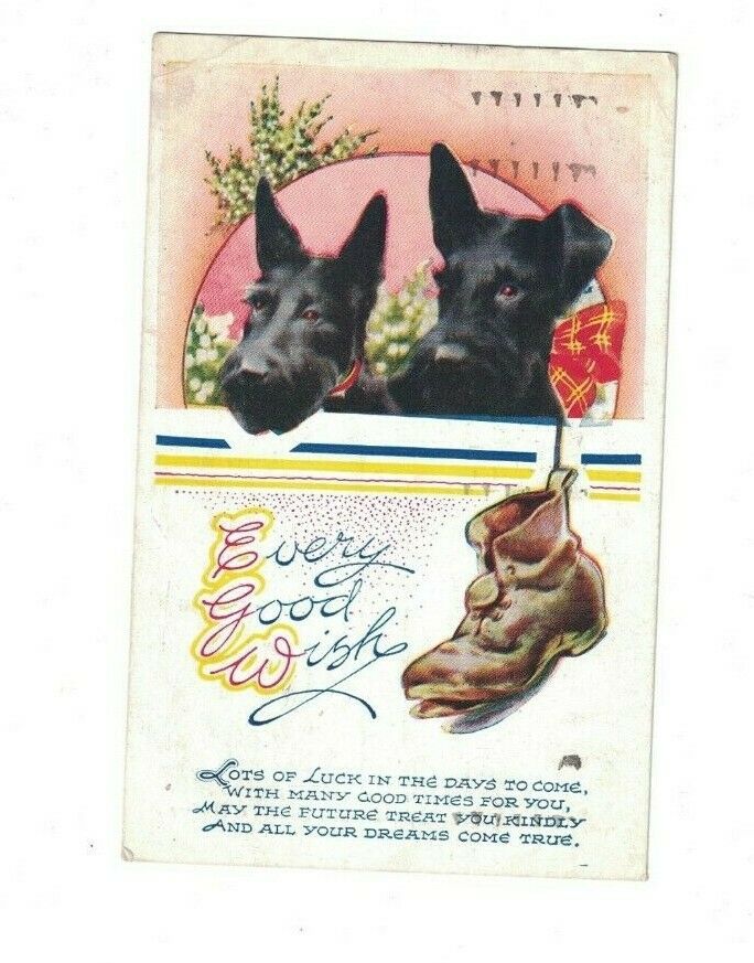 Scottish Terrier Scottie Dog Best of Luck Series 1944 Postcard Bamforth & Co
