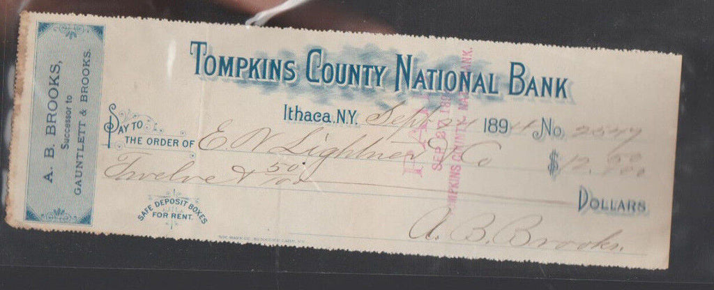 Tompkins County National Bank Ithaca NY Used Check 1894