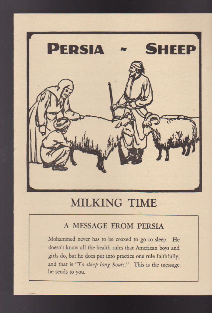 Milking Time Dairyman's League Co-Op 1950s Booklet Persia Sheep