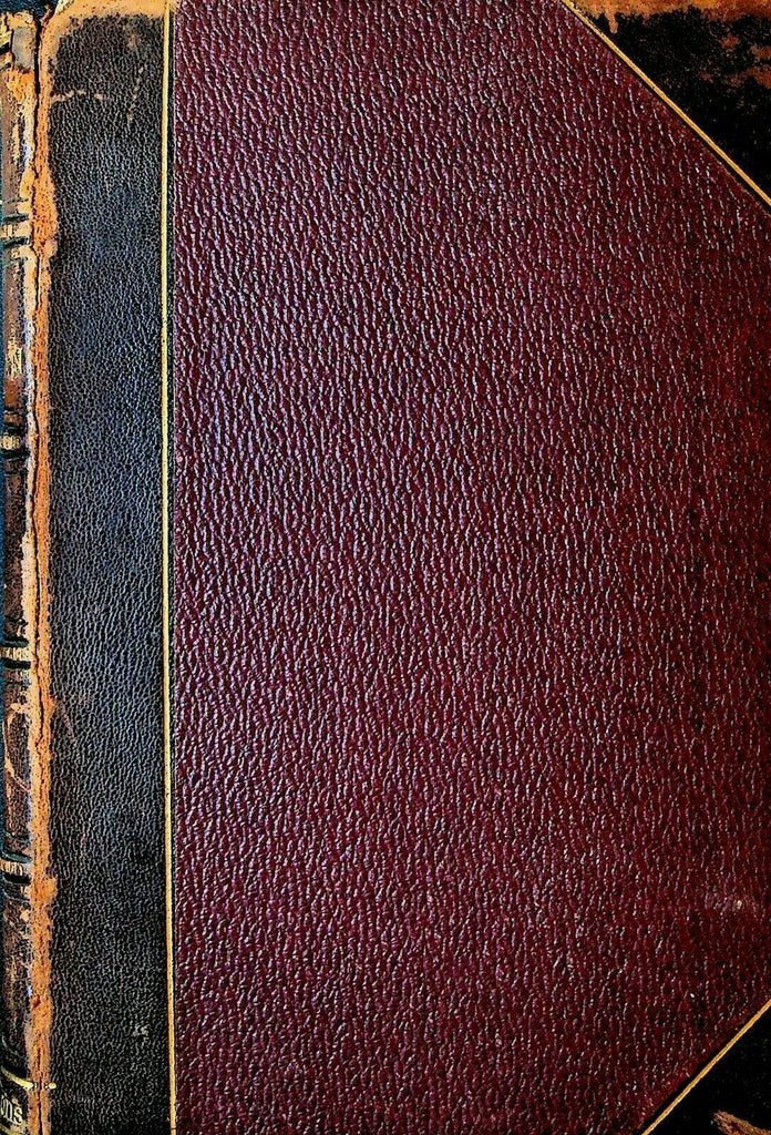Hesperian Bound Volume 1894 to 1897 Lucien Bonaparte Mrs Humphrey Ward
