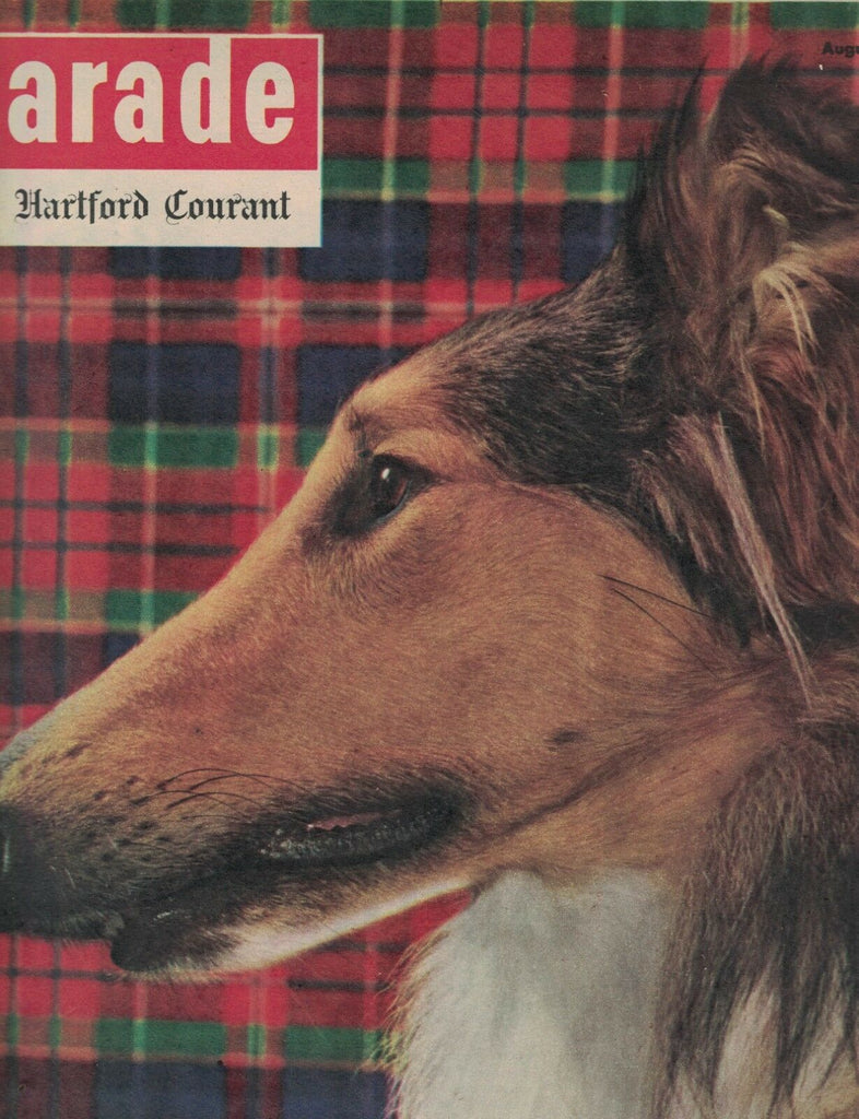 Parade Hartford Courant August 20 1950 Polo Collie Sven Turck Dick Powell