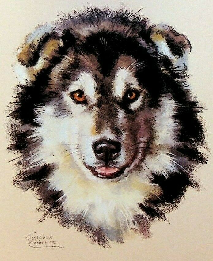 Josephine Crumrine Alaska Cruise Line Menu Alaskan Sled Dog Rye