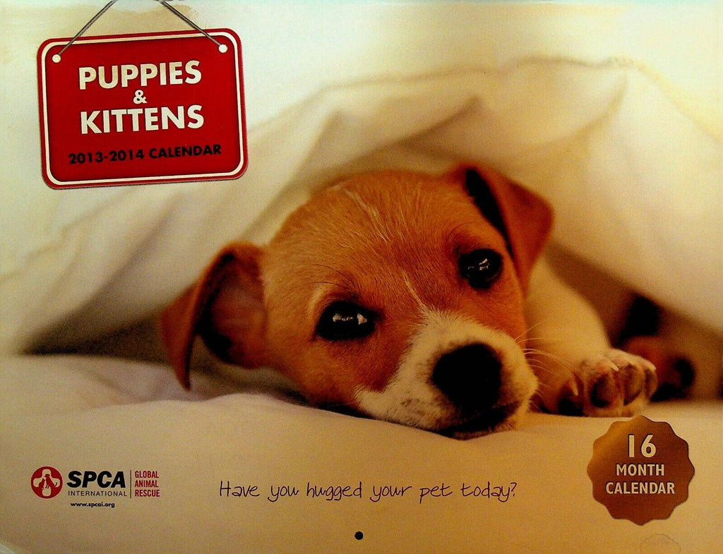 Puppies & Kittens Calendar 2013 2014 SPCA