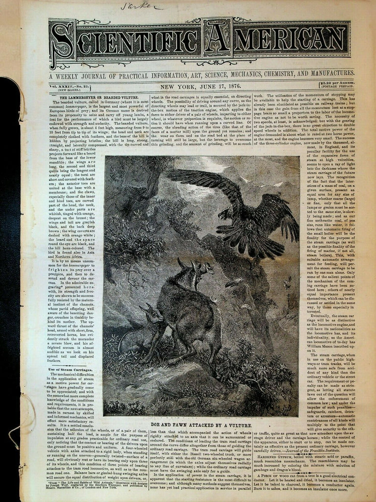 Scientific American June 17 1876 Charles Darwin Spelling Bees Asbestos