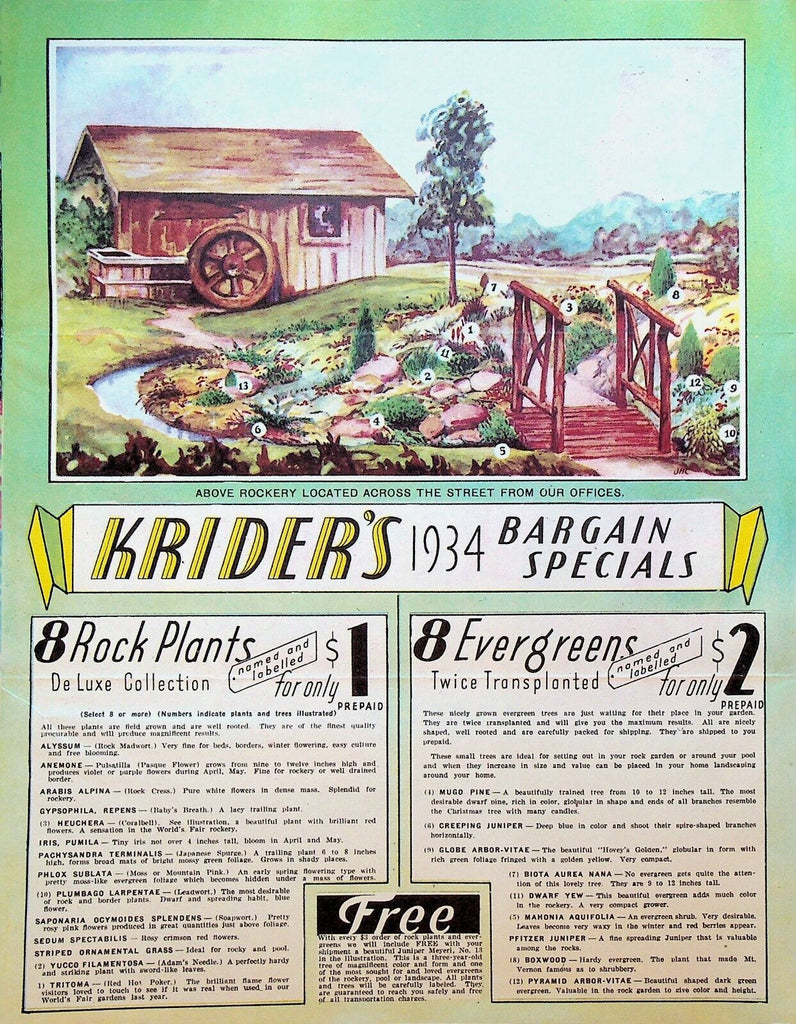 Krider's 1934 Bargain Specials Brochure Flowers Nursery Middlebury Indiana