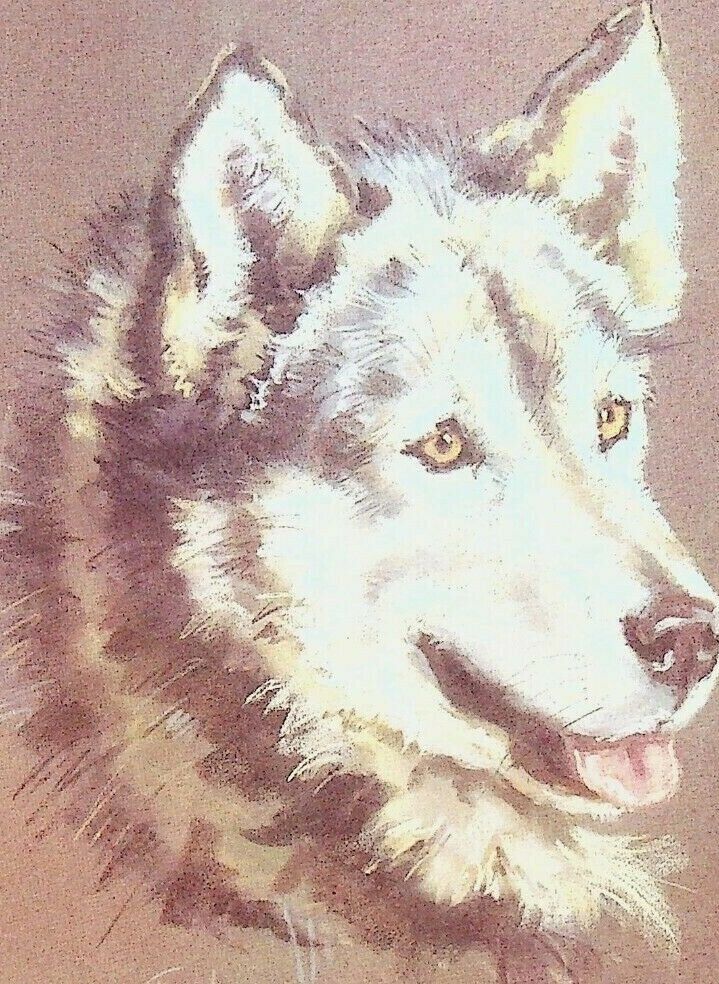 Josephine Crumrine Alaska Cruise Line Menu Alaskan Husky Smokey