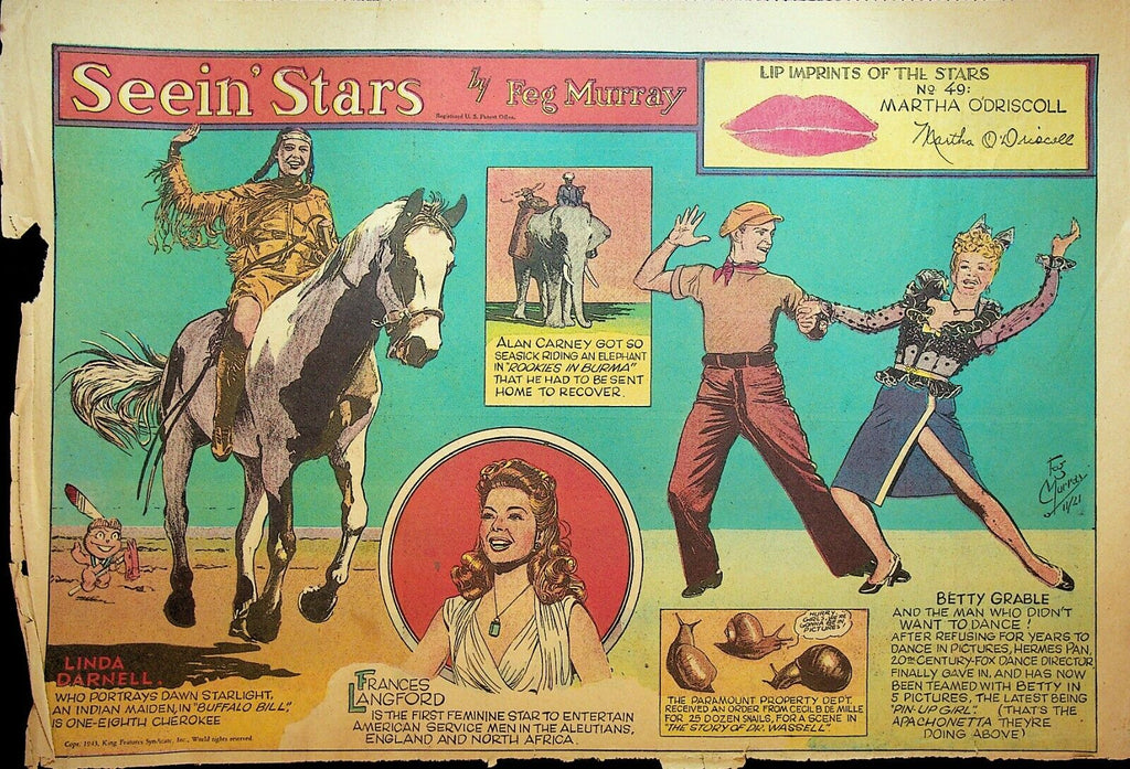 Seein Stars Comic Strip November 21 1943 Linda Darnell Frances Langford