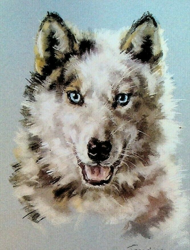 Josephine Crumrine Alaska Cruise Line Menu Alaskan Siberian Husky Blizzard