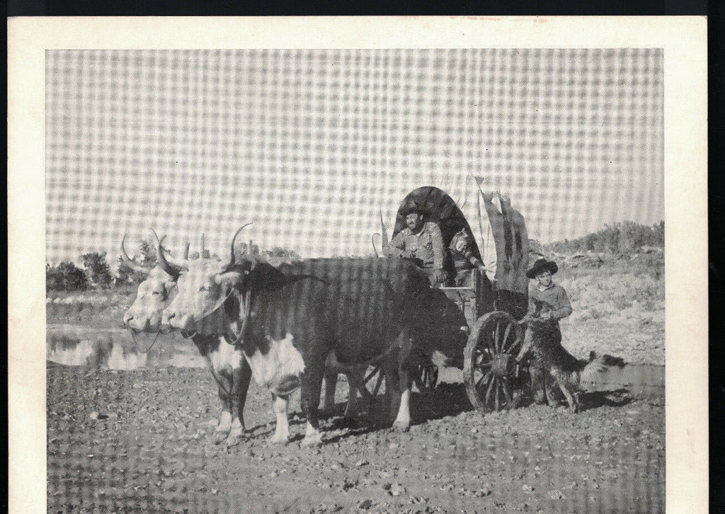 The Trail of Tom and Jerry Prospect Oregon Vintage Picture Stagecoach