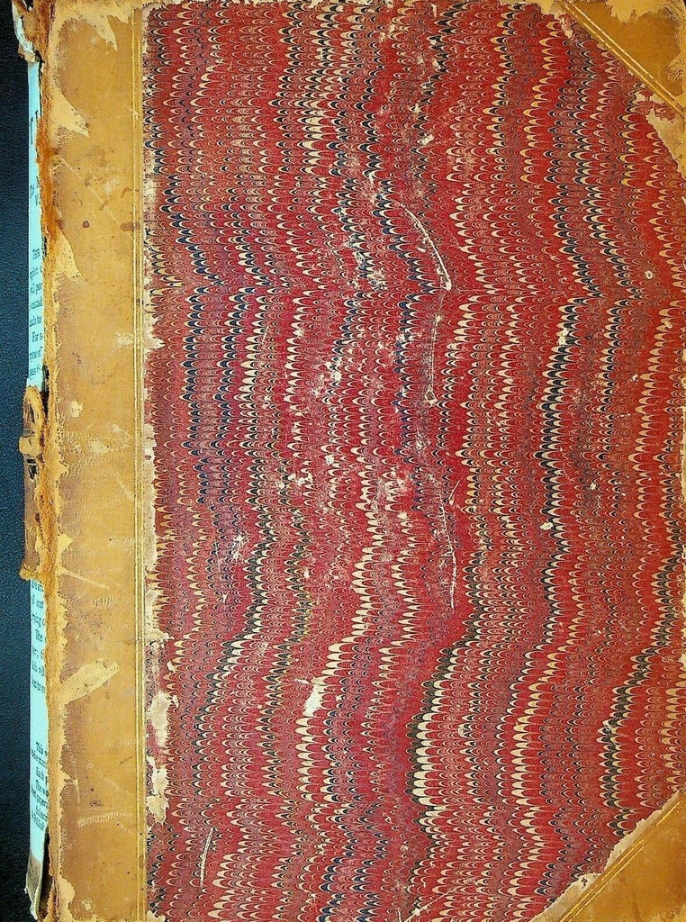 Century Magazine Bound Volume November 1882 to April 1883 Charles Darwin Creoles