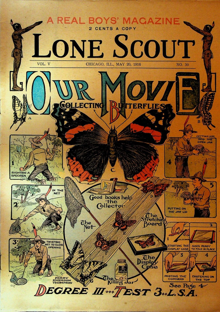 Lone Scout Magazine May 20 1916 Collecting Butterflies Song Sparrow