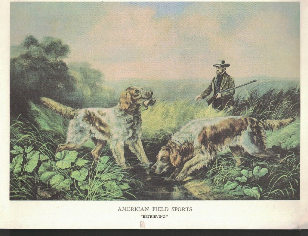 American Field Sports 2-sided Dogs Print- On a Point & Retrieving