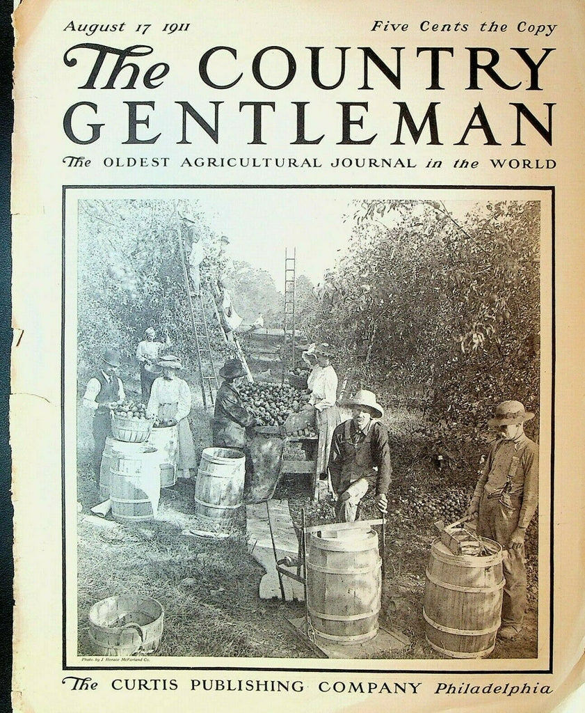 Country Gentleman Magazine August 17 1911 Apple Picking Agriculture Farming