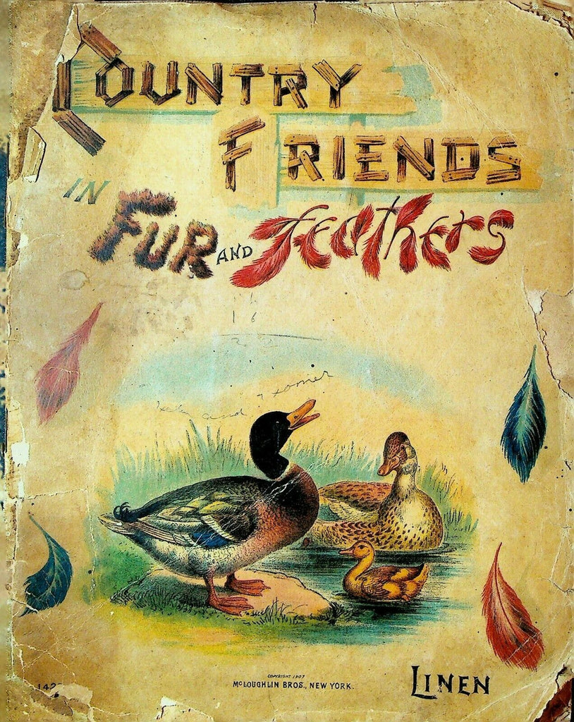 Country Friends in Fur & Feathers Linen Children's Book 1907 McLoughlin Bros