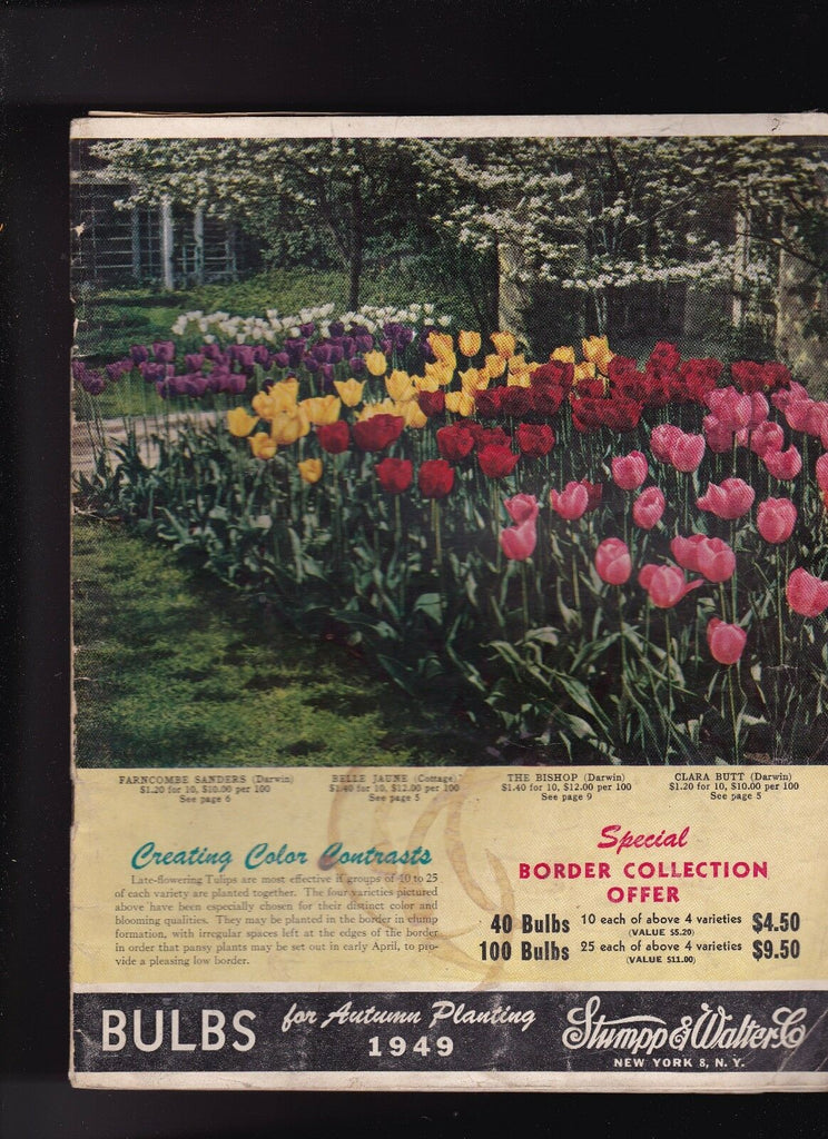 Stumpp & Walter 1949 Bulbs for Autumn Planting Catalog