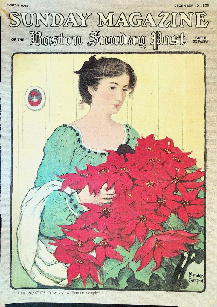 Sunday Magazine Boston Post December 10 1905 Blendon Campbell Arthur Conan Doyle